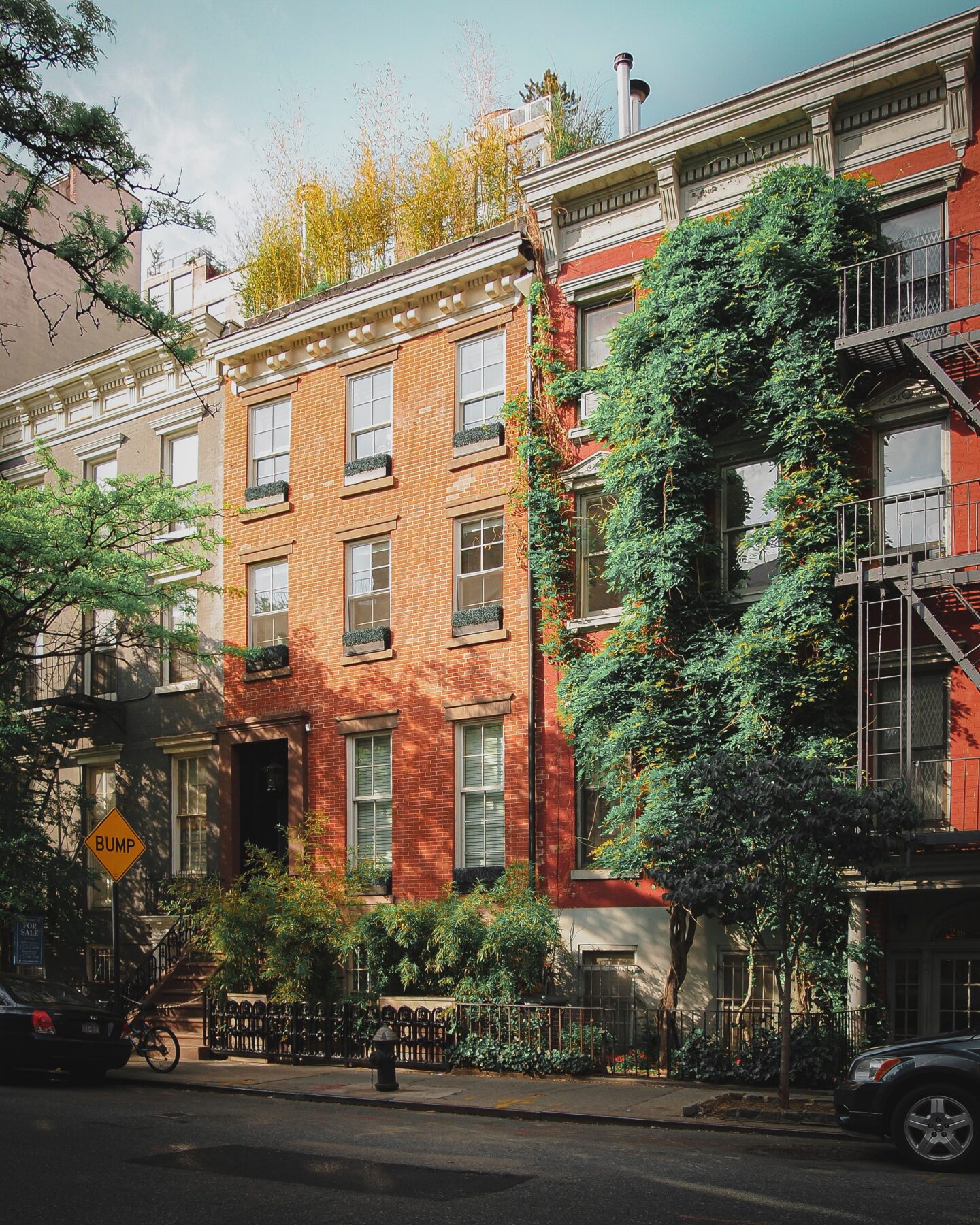 brownstones with foliage colorful houses real estate branding and rebranding